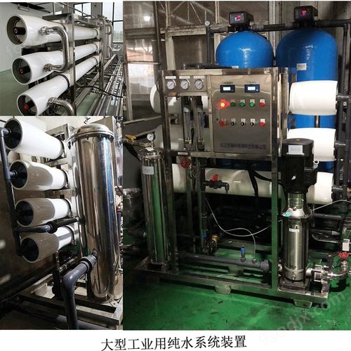 超純水設備與物聯網養魚凈水系統 現代化循環水養殖的未來