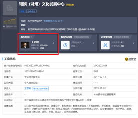王思聰再被限制消費，計算機軟件技術(shù)開發(fā)背后的法律警示